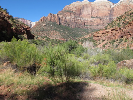Enlarge photo 103