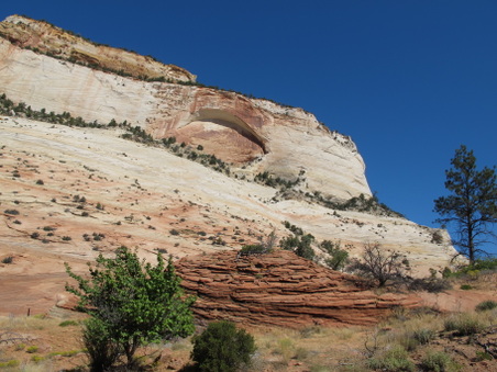 Enlarge photo 157