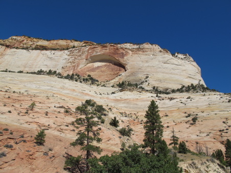 Enlarge photo 158