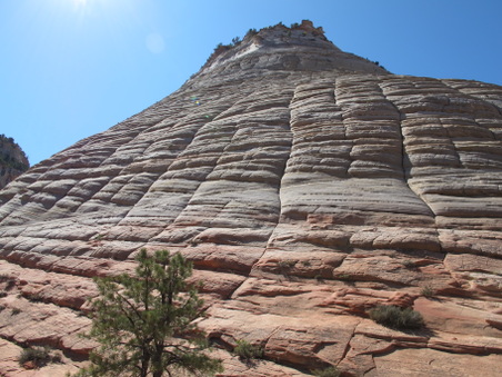 Enlarge photo 169