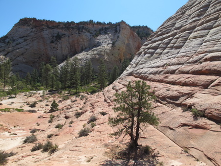 Enlarge photo 170