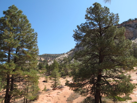 Enlarge photo 172