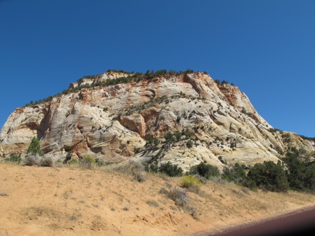 Enlarge photo 181