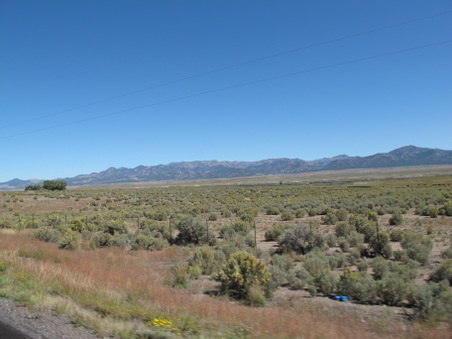 Enlarge photo 185