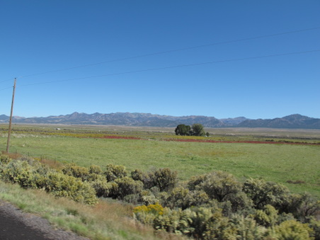 Enlarge photo 186