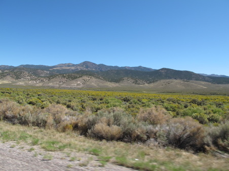 Enlarge photo 196
