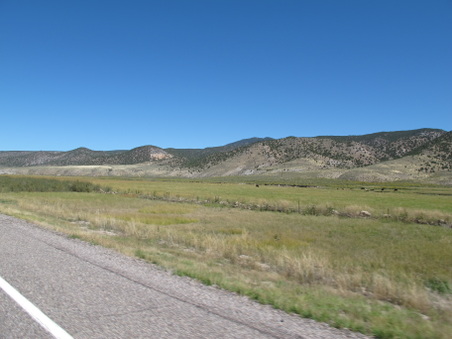 Enlarge photo 197