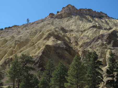 Enlarge photo 219