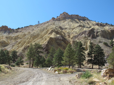 Enlarge photo 220
