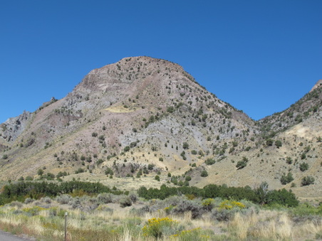 Enlarge photo 224