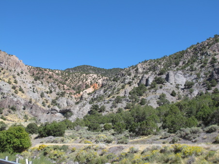 Enlarge photo 228