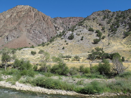 Enlarge photo 233