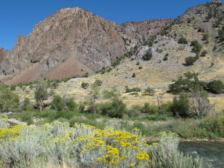Enlarge photo 240
