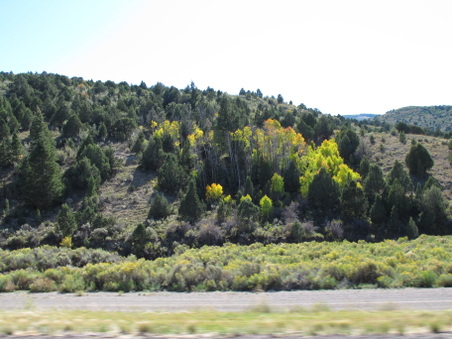 Enlarge photo 249
