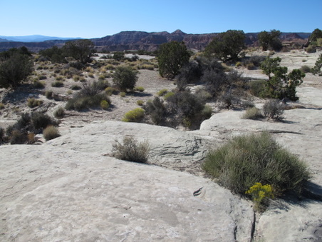 Enlarge photo 269