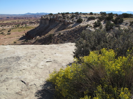 Enlarge photo 270