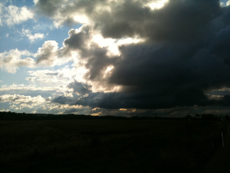 Enlarge photo 752