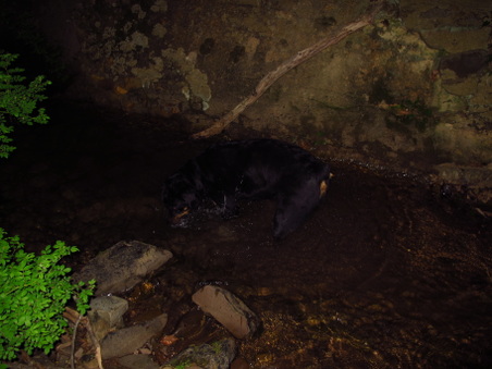 Enlarge photo 13