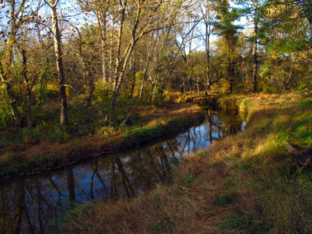 Enlarge photo 11