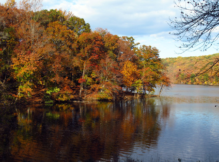 Enlarge photo 15