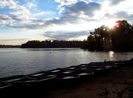 Enlarge photo 16