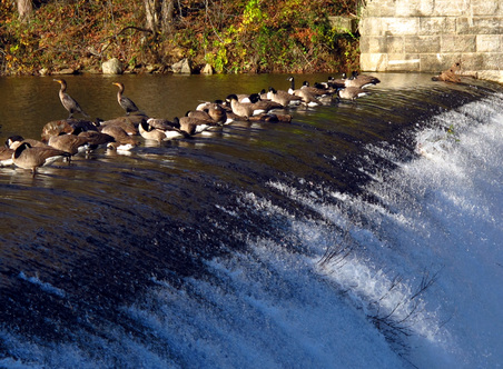 Fall 2012 ride