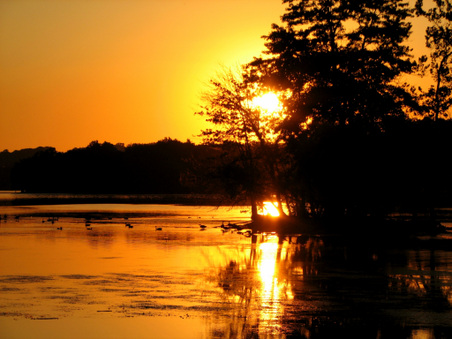 Enlarge photo 23