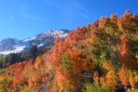 Enlarge photo 13