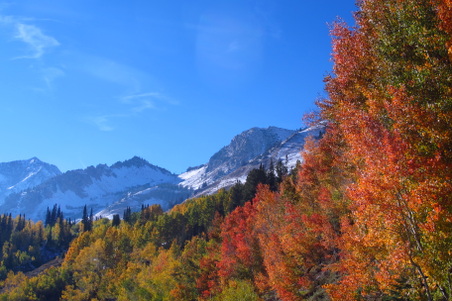 Enlarge photo 14