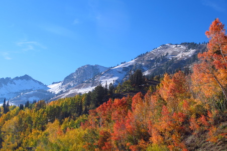 Enlarge photo 16