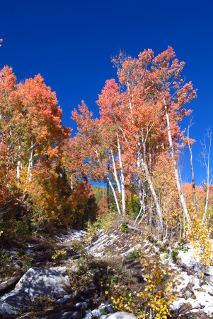 Enlarge photo 17