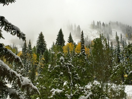 Enlarge photo 24