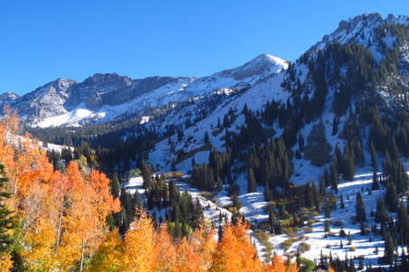Enlarge photo 25
