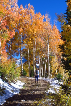 Enlarge photo 28
