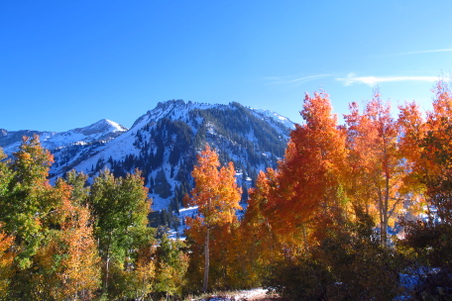Enlarge photo 31