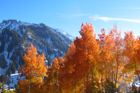 Enlarge photo 33