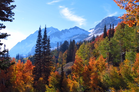 Enlarge photo 35