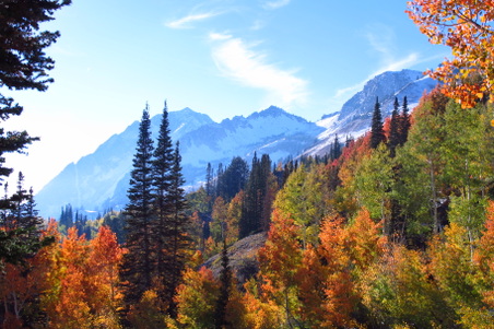 Enlarge photo 36