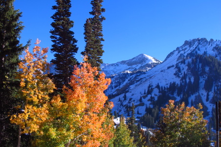 Enlarge photo 38