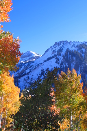 Enlarge photo 41