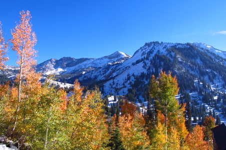 Enlarge photo 44