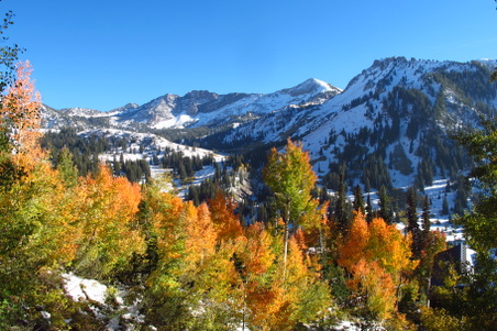 Enlarge photo 45