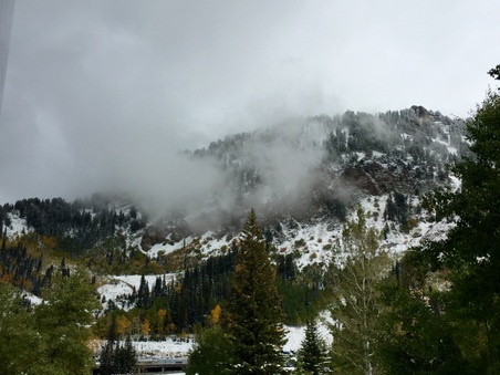 Enlarge photo 46