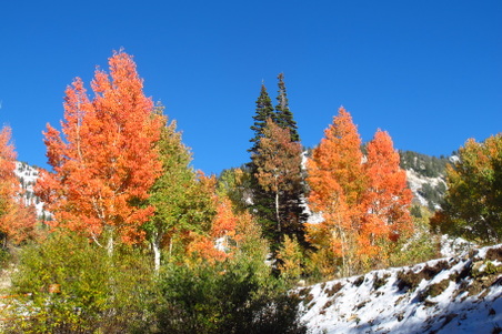 Enlarge photo 47