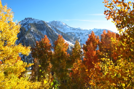 Enlarge photo 54
