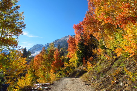 Fall meets winter in Utah