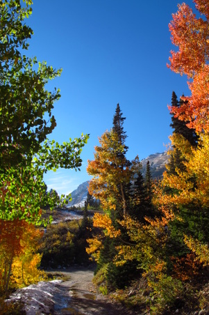 Enlarge photo 58
