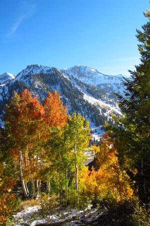 Enlarge photo 63