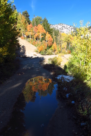 Enlarge photo 65