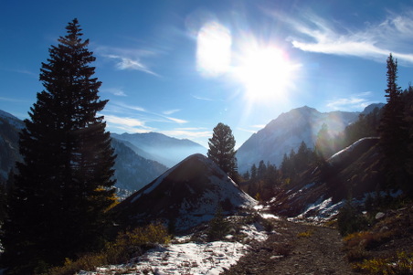 Enlarge photo 76
